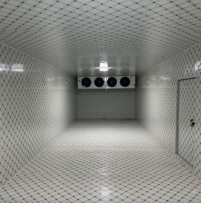 Large food cold storage project image