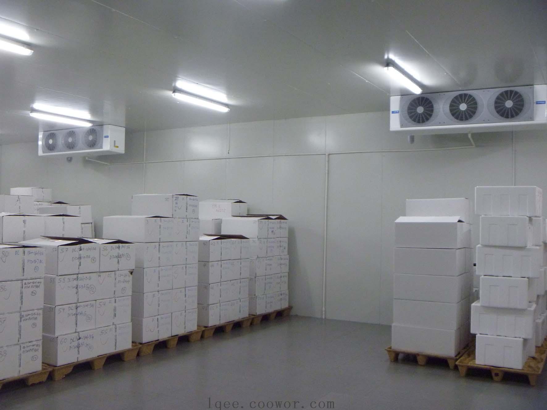 Large food cold storage project image