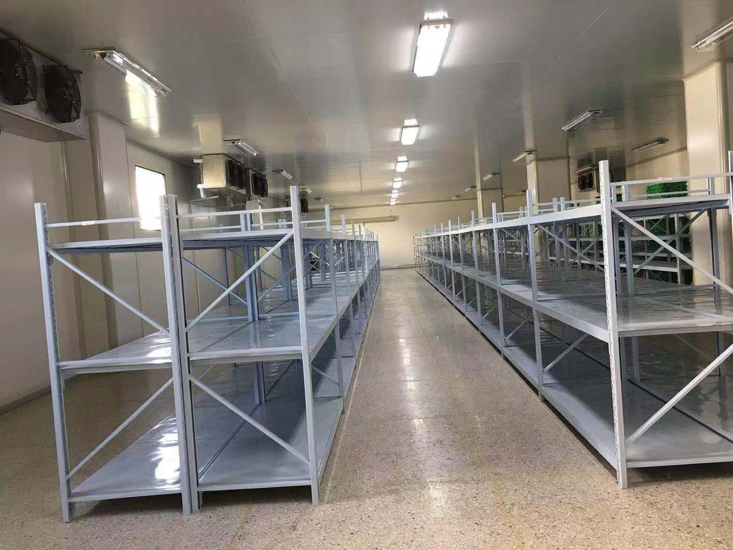 Large food cold storage project image