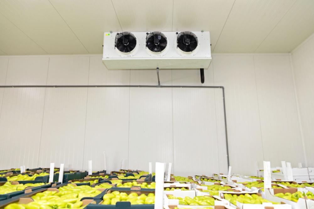 Cold storage Cold storage