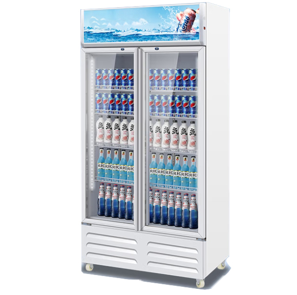 Upright drink cooler