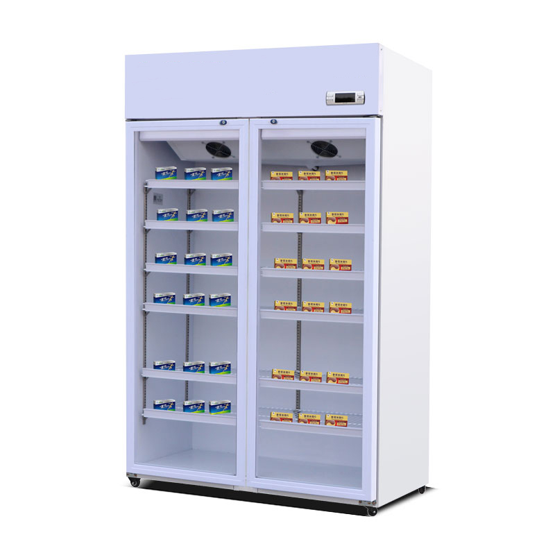 Portable Medication Refrigerator