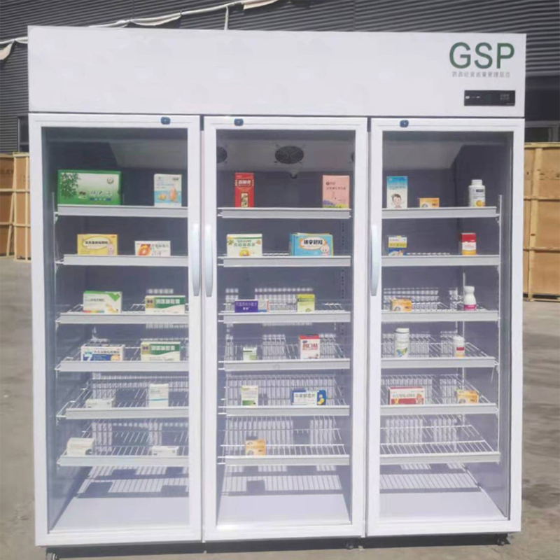 Portable Medication Refrigerator