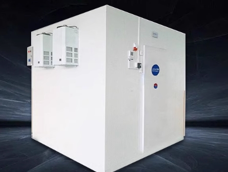 Portable Pharmaceutical Cold Storage