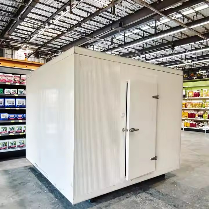 Portable Cold Storage Room