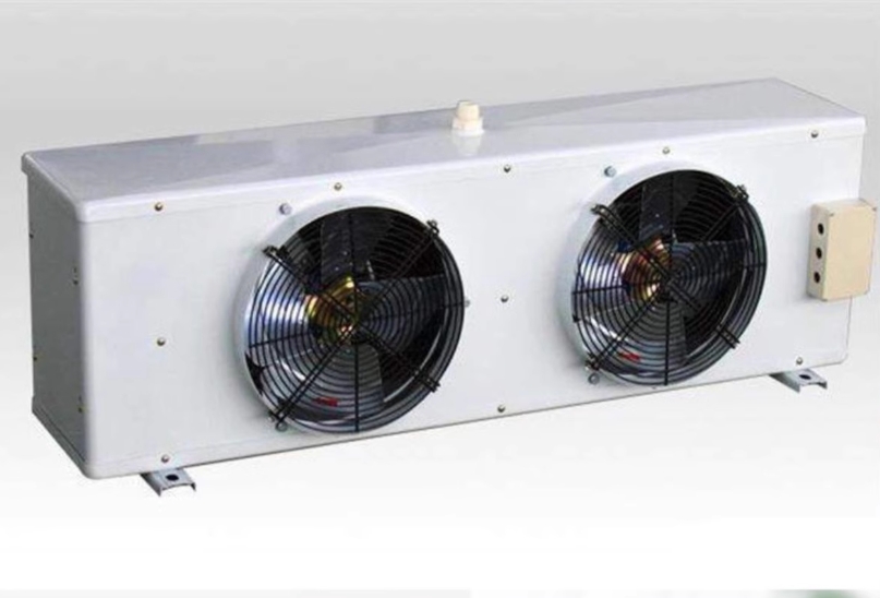 Portable Cold Storage Room