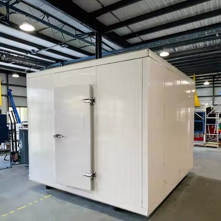 Portable Cold Storage Room