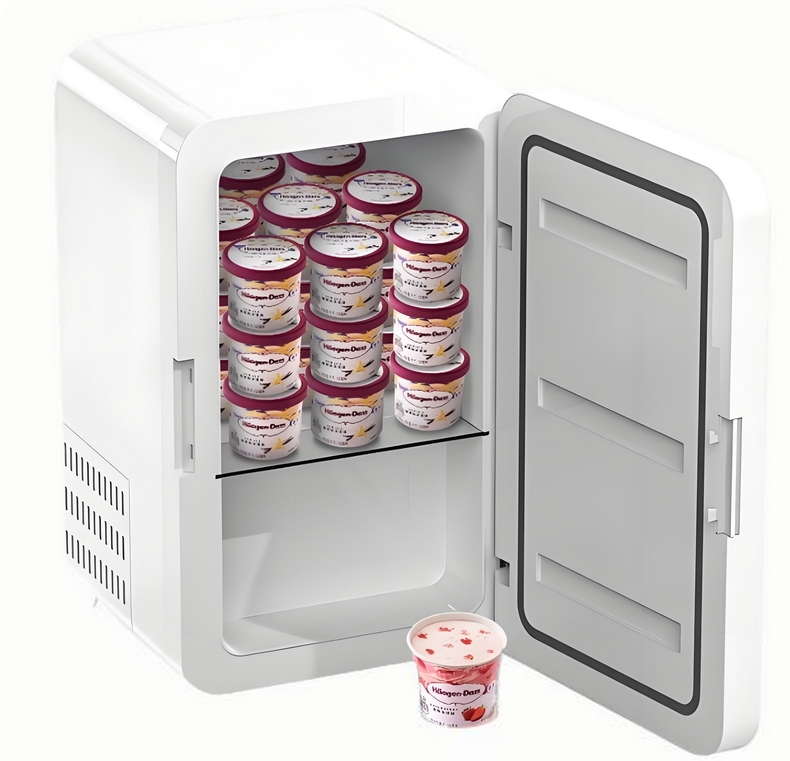Portable Mini Fridge