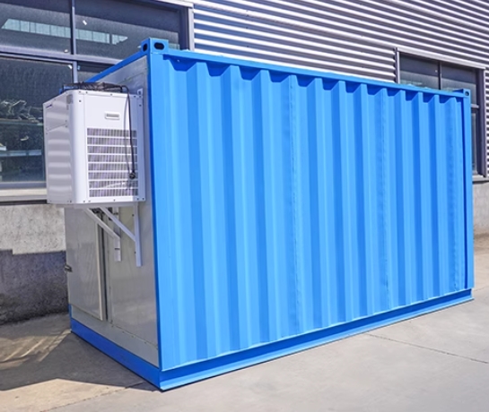 Vaccine Storage Refrigerated Container