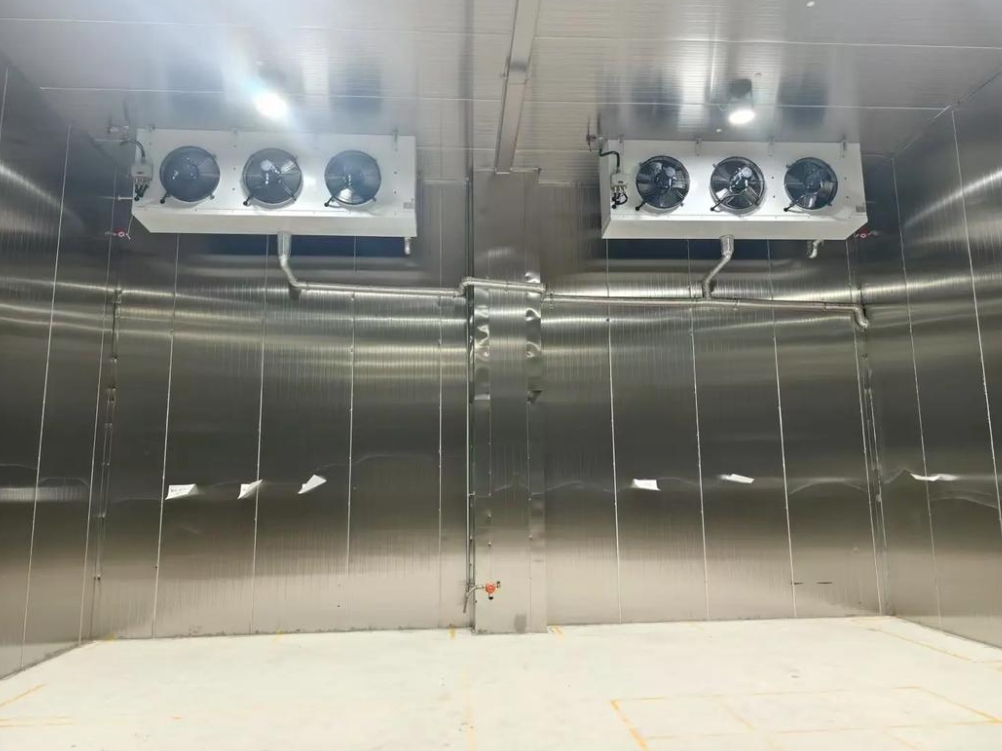 Ultra-Low Temperature Storage