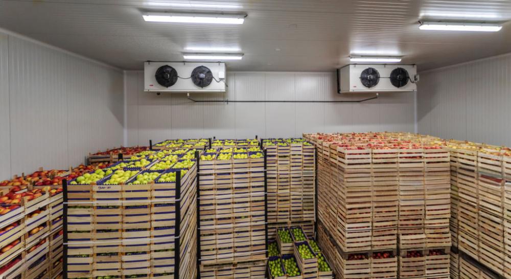 Fruit Cold Storage