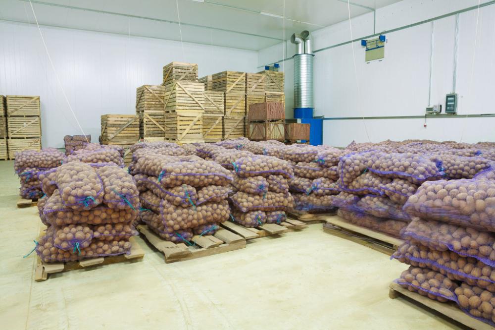 Potato Cold Storage