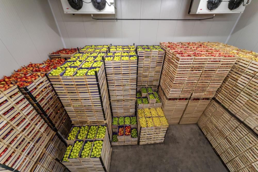 Food Logistics Cold Storage