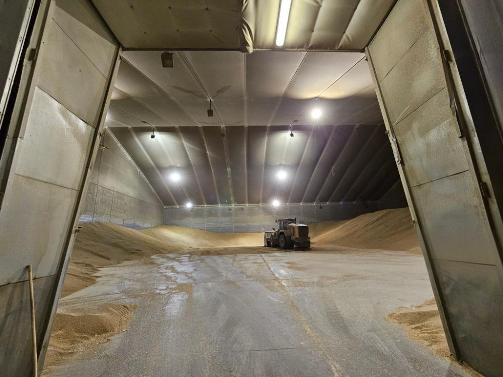 Grain Cold Storage