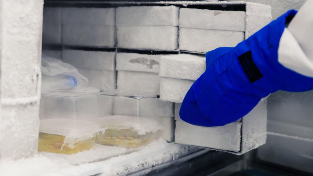 Vaccine Cold Storage