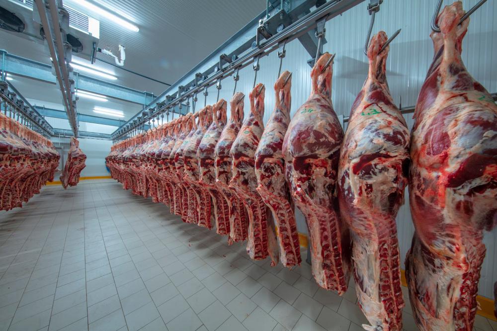 Meat Cold Storage
