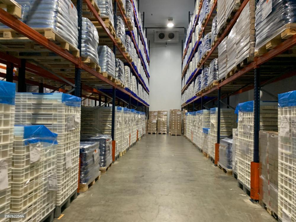 Cold Chain Warehouse