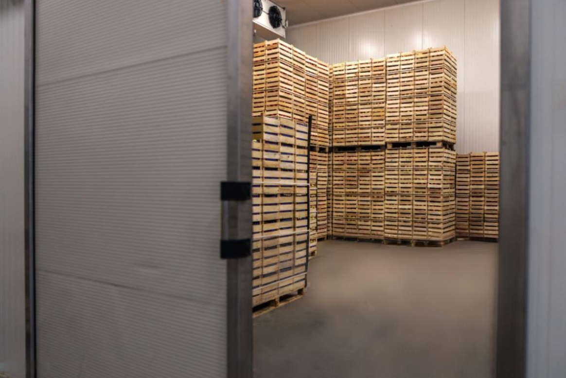 Ultra-Low Temp (Deep Freeze)