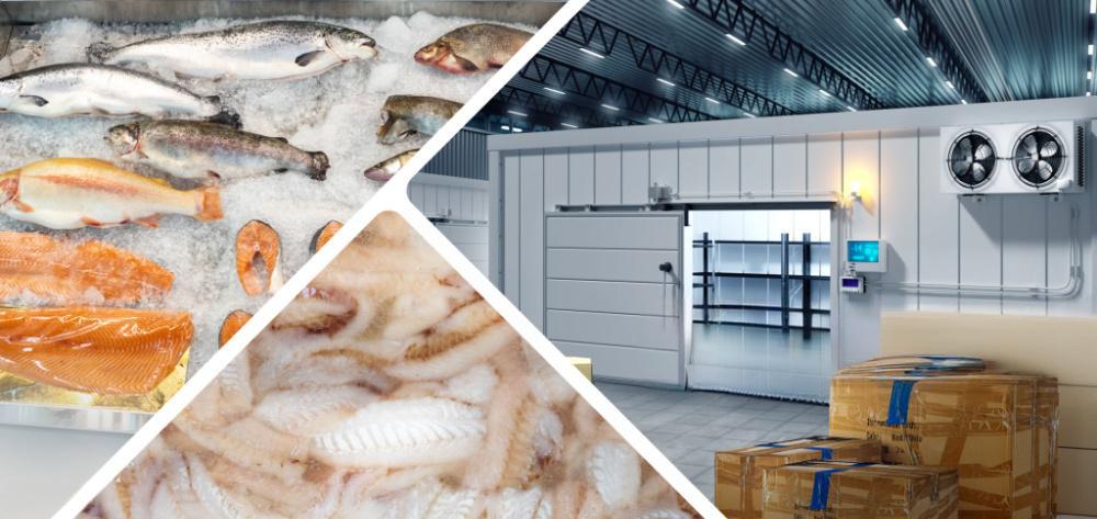 Seafood Freezers