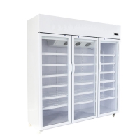 Portable Medication Refrigerator